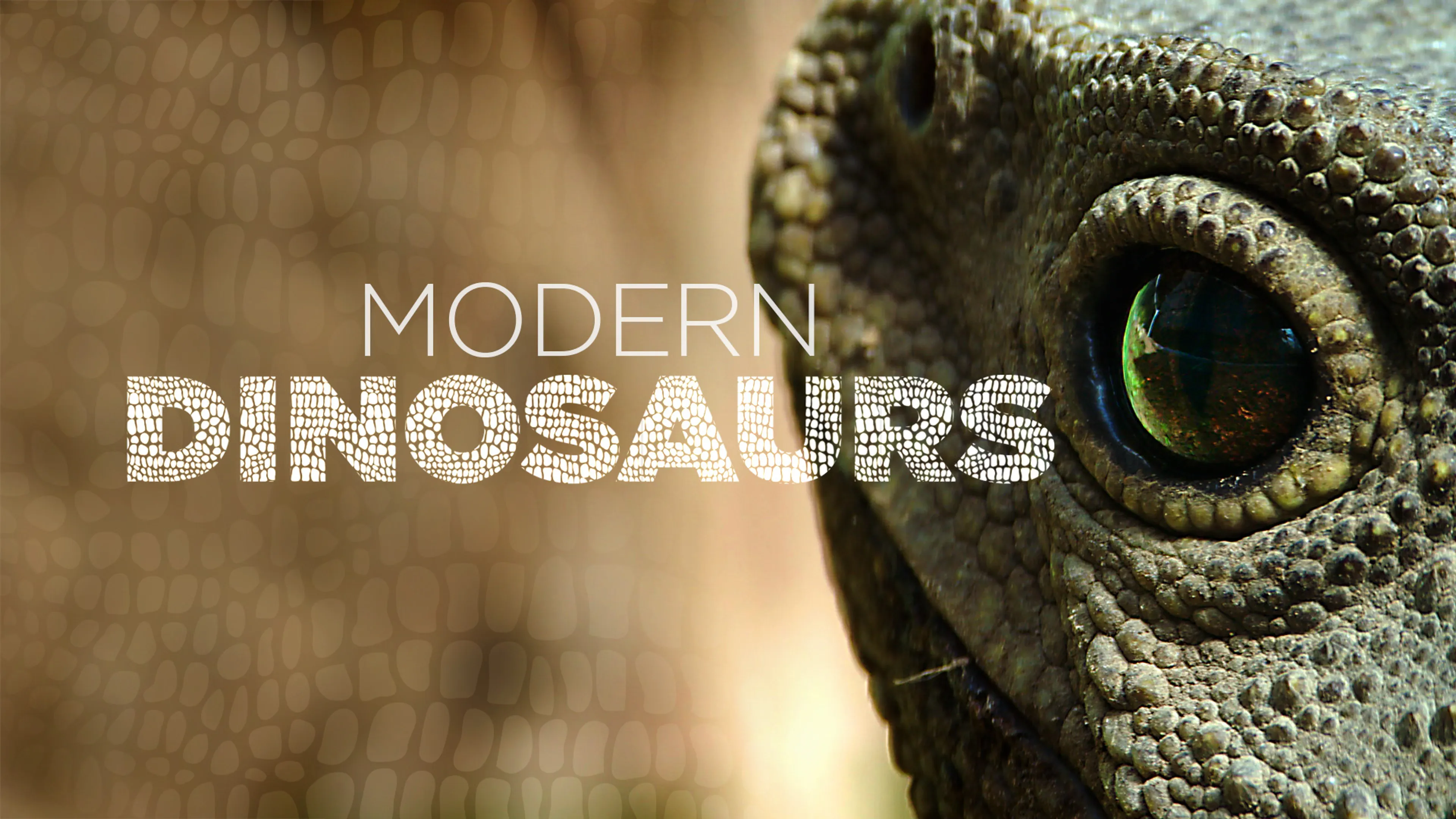 Modern Dinosaurs poster
